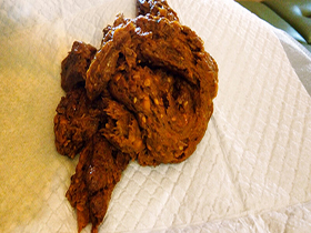 うんち盛りだくさんBEST　同性にうんちを見られちゃった女の子たち　サンプル画像17